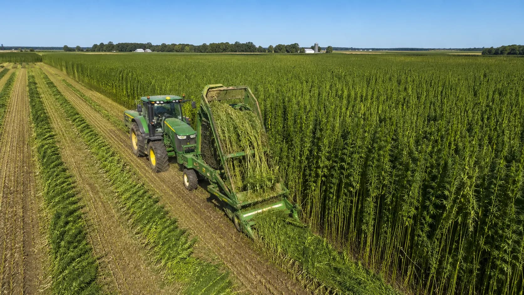 How the Hemp Feed Coalition Is Opening New Markets for Hemp Farmers